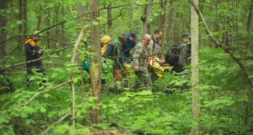 В Кировской области нашли пожилого мужчину, заблудившегося в лесу