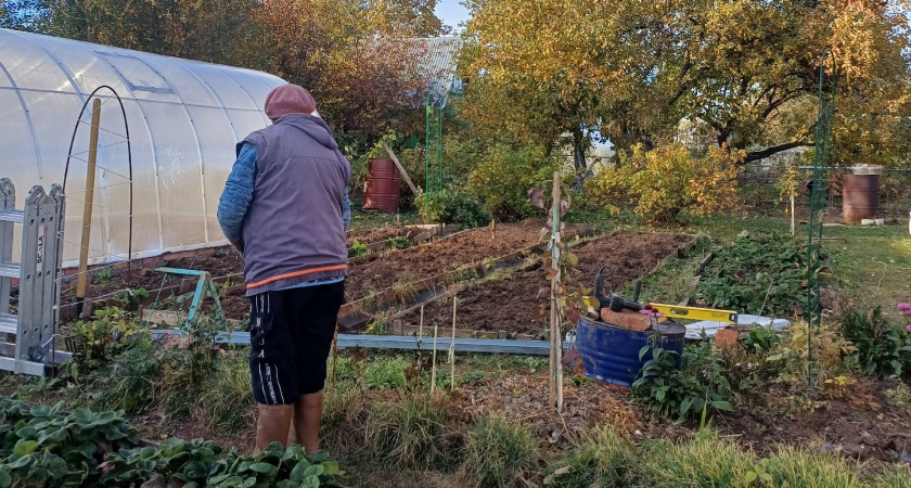 Всегда делаю это осенью в саду: как за 10 дней до холодов очистить участок от сорняков на годы вперед