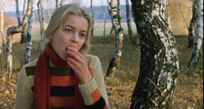 90% зрителей этого не знают: кто настоящий отец Александры в «Москва слезам не верит (16+)»?