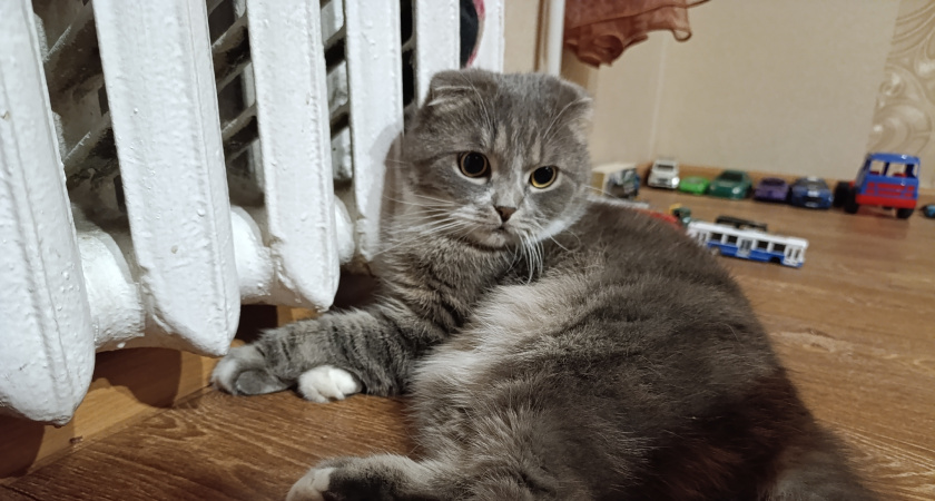 Почему в хрущевках тепло, а в современных новостройках холодно - секрет советских радиаторов