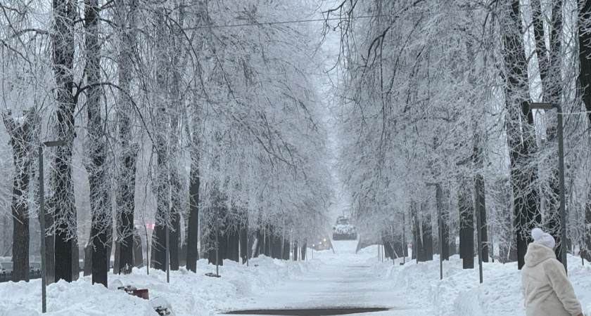 Аномальная зима на пороге: что ждет россиян, объясняют синоптики
