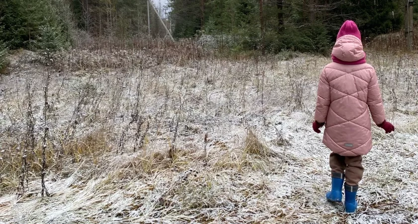 Кировскую область накрыли аномальные заморозки