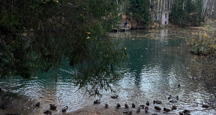 Житель Кировской области поплатился за перекрытие доступа к пруду