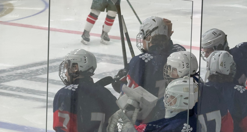 В Кирово-Чепецке состоится женский турнир по хоккею "Хрустальная тиара" (16+)