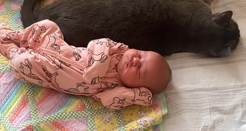 Узнала самые редкие имена, которые дают детям в России - не понимаю, зачем портить малышам жизнь