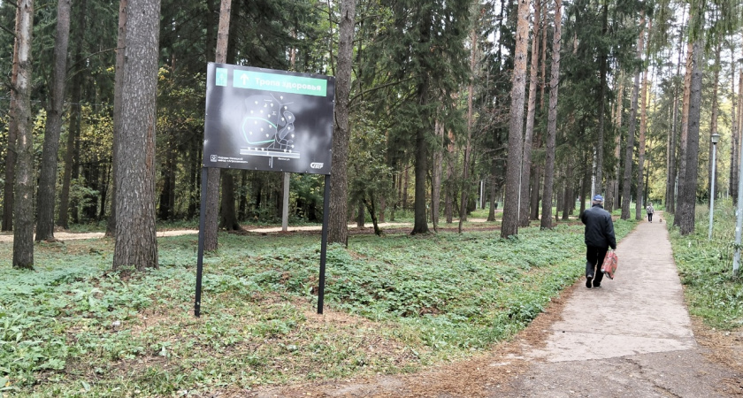 Стало известно, какая погода ждет чепчан 2 октября