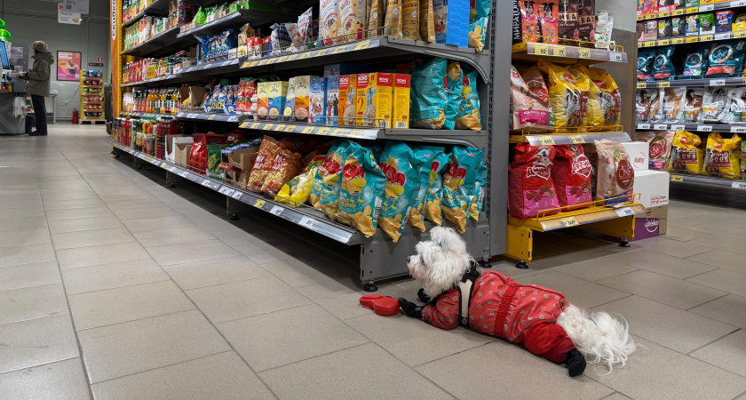 За 119 рублей я купил в Магните гороховый "Буздякский". Делюсь честным отзывом — на что рассчитывать и стоит ли оно того