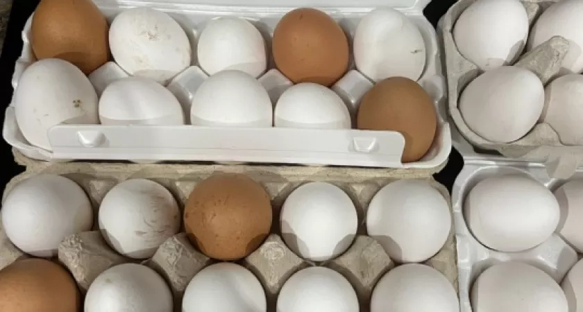 Зашла в Ашан в Париже и сравнила цены на еду с нашими: сколько стоят мясо, рыба, яйца