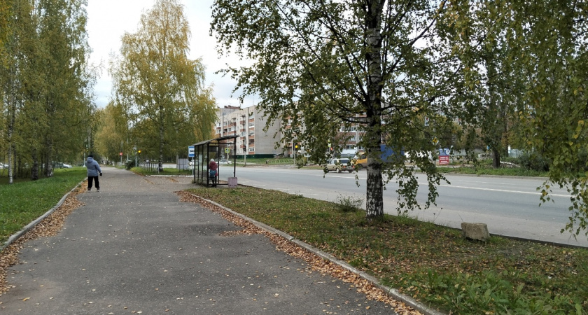 Переменная облачность: известно, какая погода ждет чепчан 3 октября