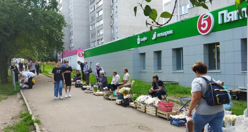 Фото к статье: Обзор солёных груздей из Пятёрочки: что на самом деле скрывается за ценой в 125 рублей и белорусским происхождением