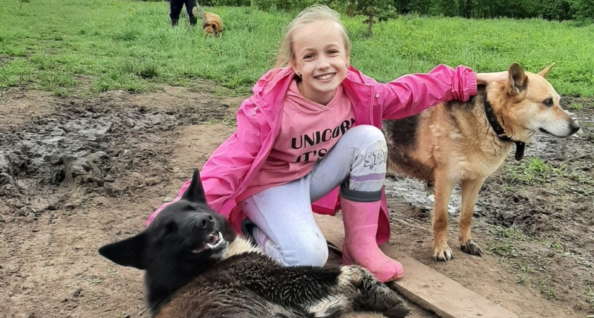 В Октябрьском районе жители собрали 150 килограммов помощи для приюта животных