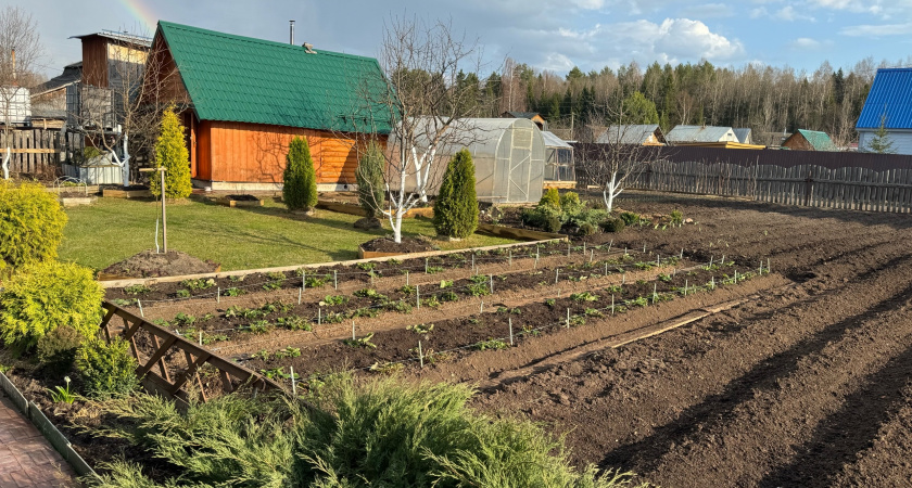 Высаживаю 5 неприхотливых растений в октябре. Весной участок расцветет без подкормок и полива