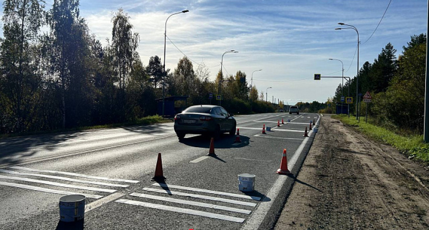 Новые шумовые полосы установят на 25 участках трасс по всей Кировской области