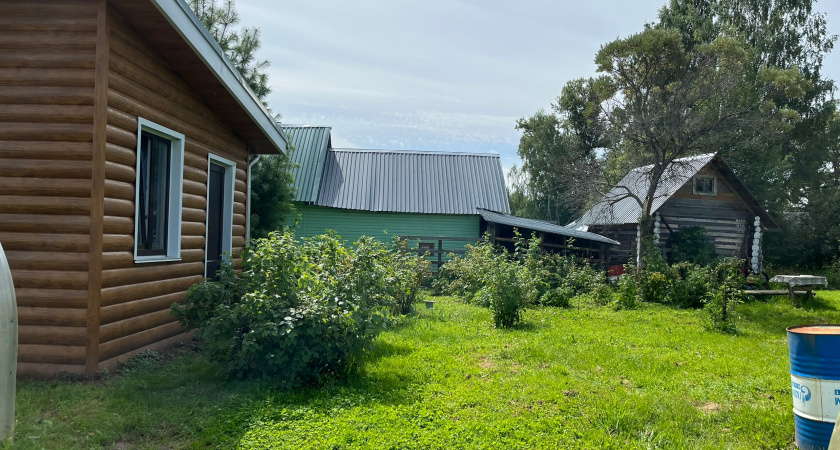 «Вы что, все миллионеры?»: американец неделю жил в российской глубинке