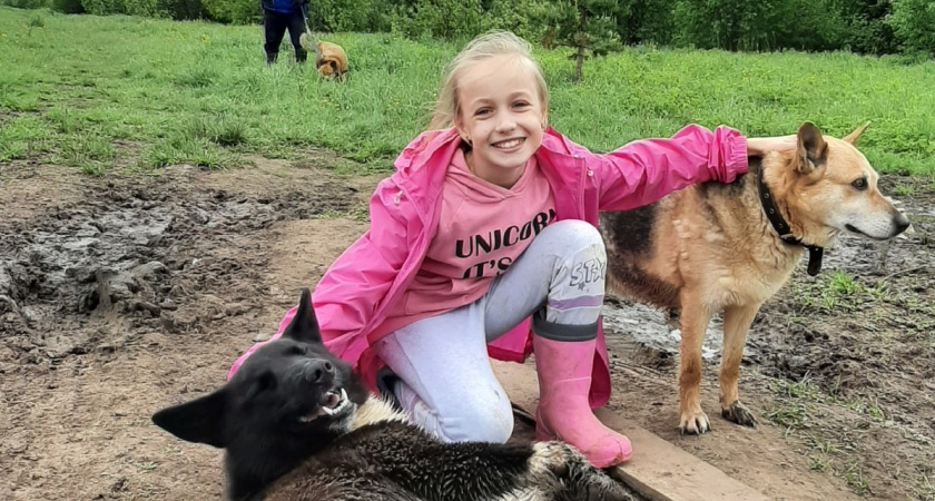 В Ленинском районе стартовал благотворительный сбор помощи животным