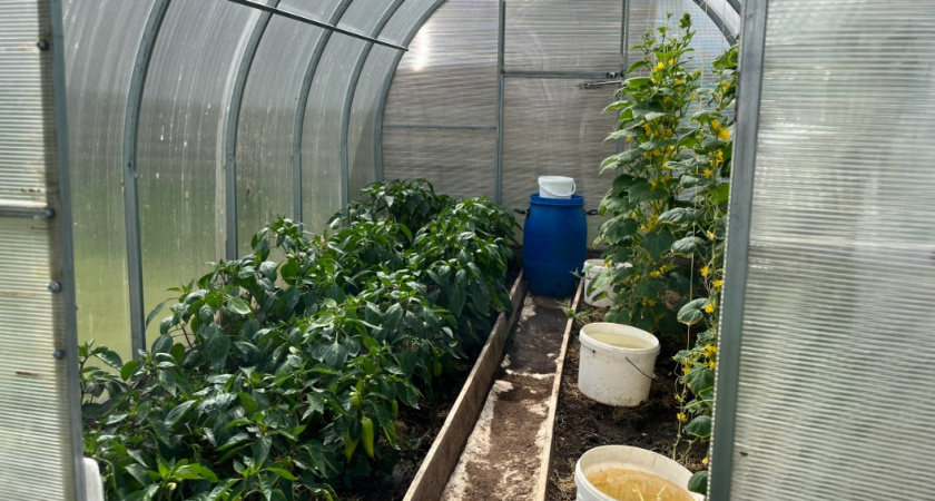 Вношу эти удобрения осенью - и к весне почва жирная и плодородная. Совет агронома с 30-летним стажем