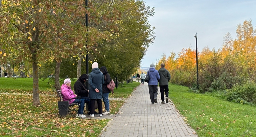 Стало известно, какая погода ждет чепчан 7 октября
