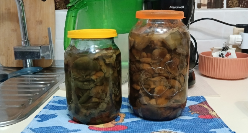 Проще не бывает: как правильно обработать грибы для соления, чтобы они получились хрустящими