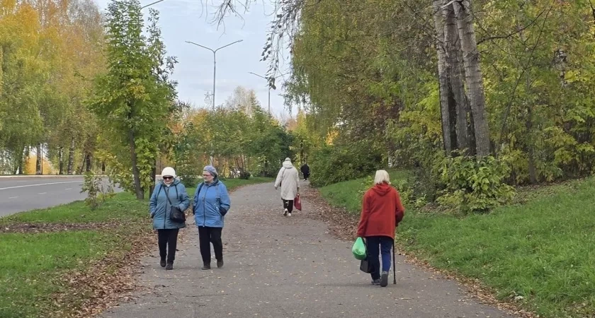 8 октября в Кировской области прогнозируется погода без осадков