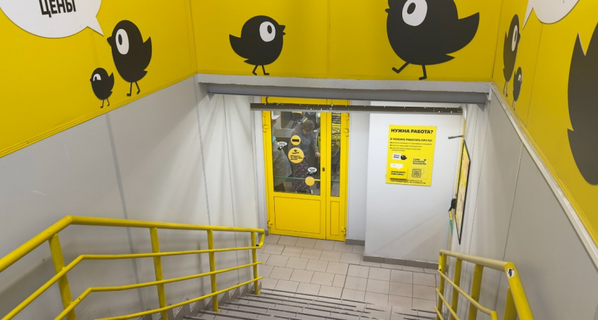 Купила в "Чижике" замороженную готовую еду: рассказываю, стоит ли брать солянку, борщ и лапшу - отзыв честного покупателя