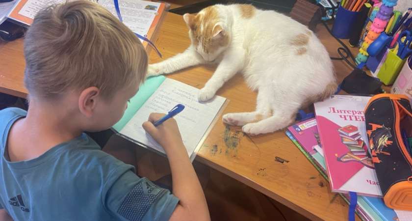 Старинное имя для мальчика быстро набирает популярность: мелодичное, статное и очень красивое - в переводе значит "Бог спасает"