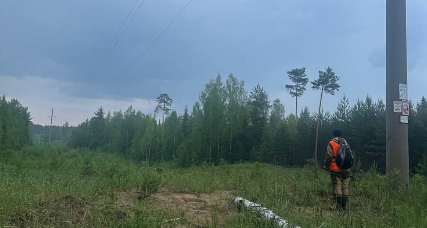 Пятеро не найдены, один погиб: кировские поисковики подвели итоги сентября