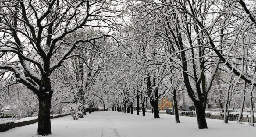 Ледяной кошмар: почему зима 1978-го стала бедой для всего СССР
