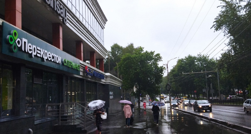 Купил в «Перекрёстке» соте по-французски за 169 рублей: чего ожидал и что получил