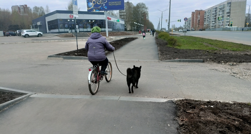 В Кировской области собака, сорвавшись с поводка, укусила ребенка