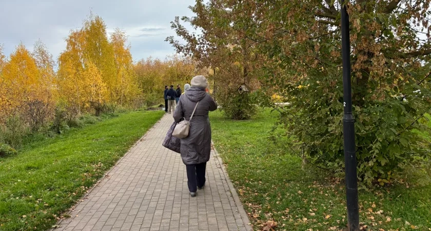 Пожар, поиск 74-летней женщины и погода: что читали чепчане 11 октября 2025 года