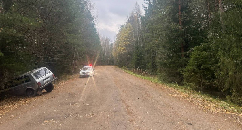 В Кирово-Чепецком районе пьяная бесправница устроила ДТП с двумя пострадавшими