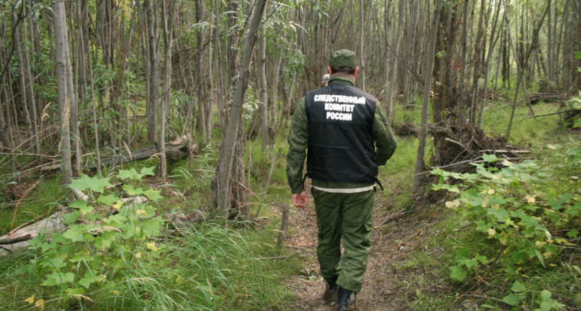 Сбор клюквы под Кировом закончился для местного жителя жестокой расправой
