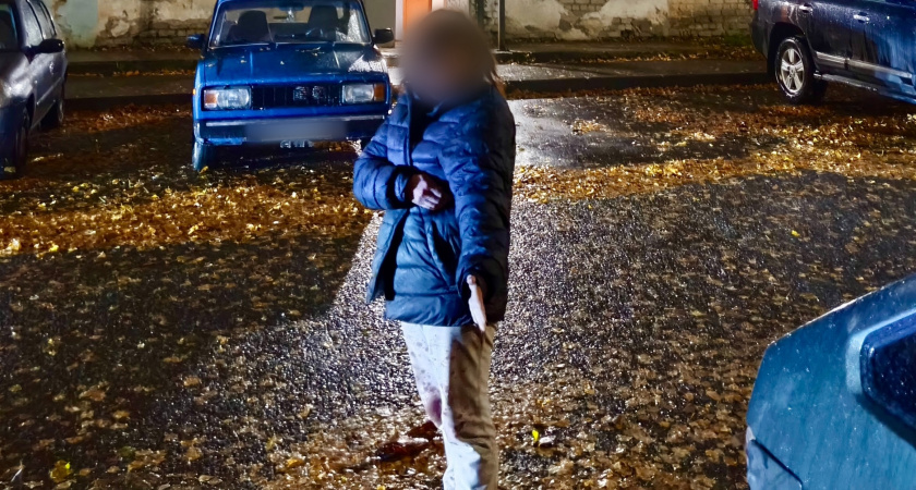 В Кирове инспекторы нашли в багажнике машины изувеченную похищенную девушку