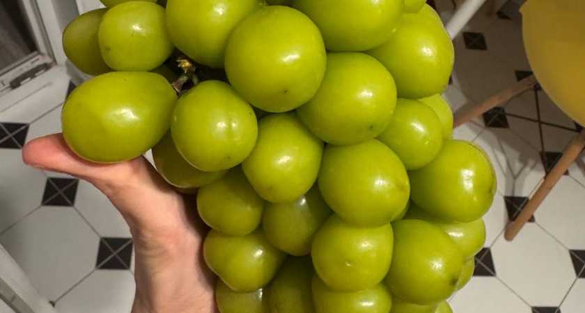 В магазинах появился огромный «пластиковый» виноград из Китая: что это такое и можно ли его есть? Отвечает биолог