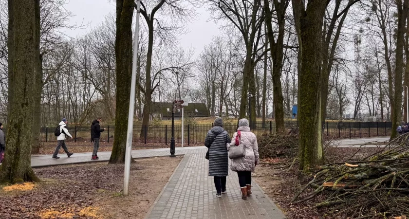 8 явных признаков, что человек вам завидует. Скрытая зависть