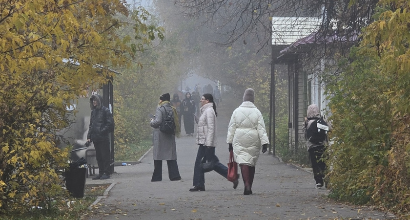 Стих Саши Черного, которое вытащит из депрессии любого за 1 минуту: лекарство для души - просто прочтите