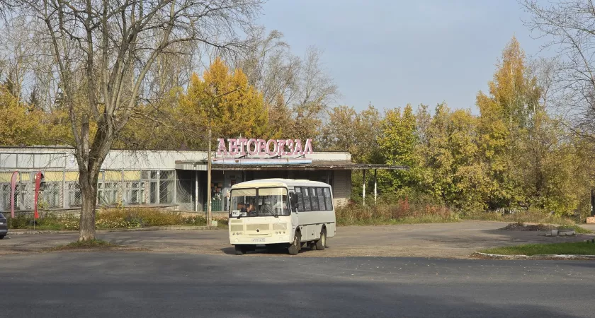 Уход главы района, отравление полугодовалого шпица и строительство нового автовокзала: что произошло в Кирово-Чепецке за неделю