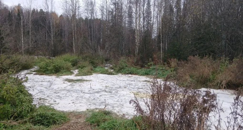 В Котельничском районе экологи бьют тревогу из-за появившегося белого вонючего болота