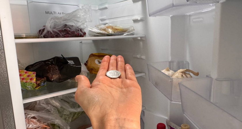 Так вот зачем моя соседка кладет монету в холодильник: сама положила - и спокойна за сохранность продуктов