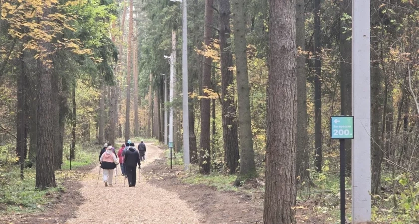 В Кировской области прогнозируется потепление в конце октября