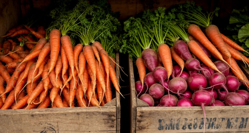 Не сгниет и не скукожится: как хранить морковь и свеклу зимой: 4 мудрых совета от агронома Гуляевой