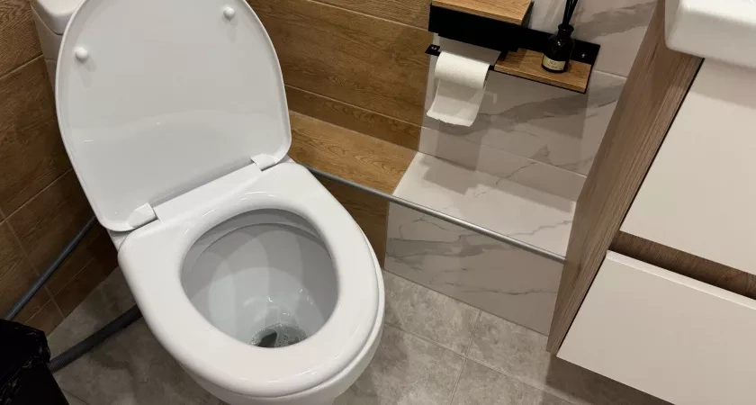 Засыпала порошок на ночь — и утром унитаз сиял как солнце: совет сантехника, который стоит 20 рублей