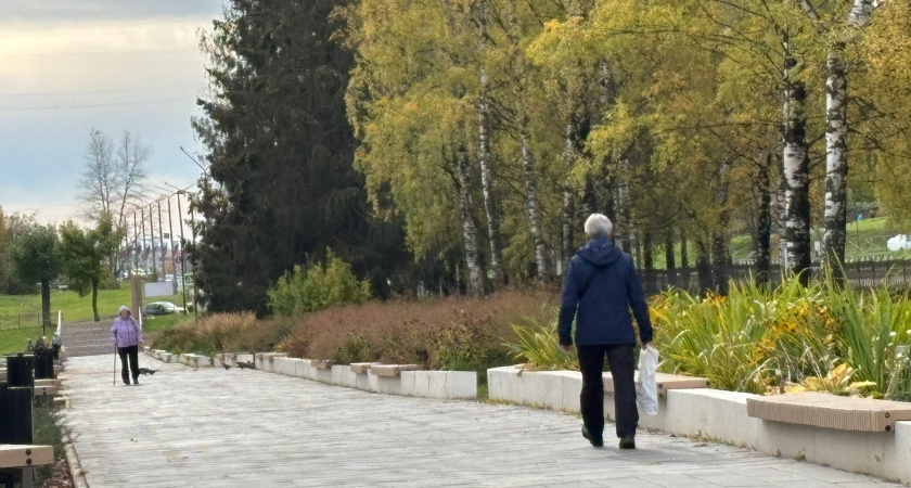 Стало известно, какой будет погода в ноябре-январе в Кировской области