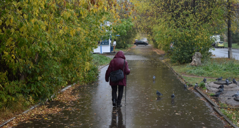 В Кировской области прогнозируются сильные дожди и порывы ветра