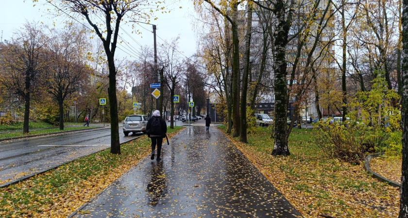 Стало известно, какая погода ждет чепчан 24 октября