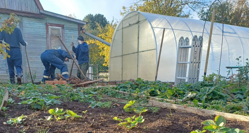 Навоз не понадобится: вот чем удобряют почву по осени опытные агрономы