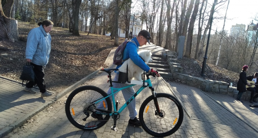 Родились в рубашке: люди, рожденные в эти числа, находятся под защитой серьезного ангела-хранителя