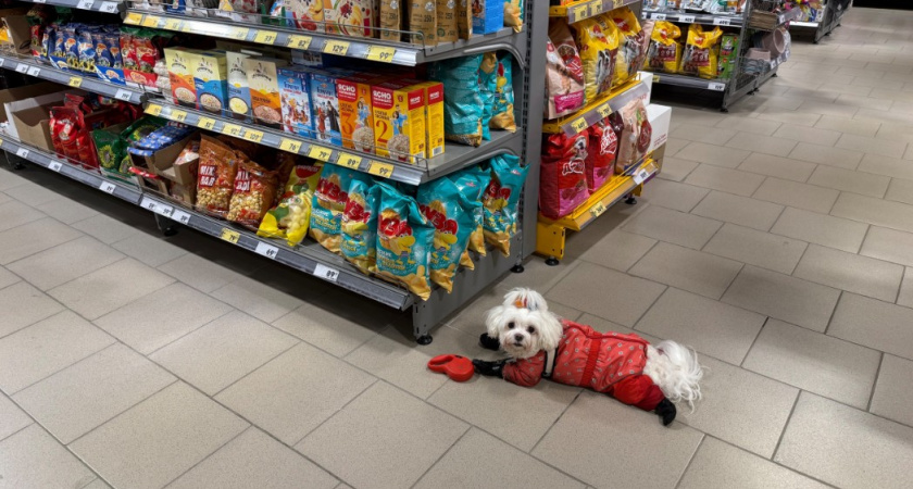 Классные новинки в "Пятерочке" - ушла с целыми пакетами: делюсь фаворитами и главными разочарованиями 