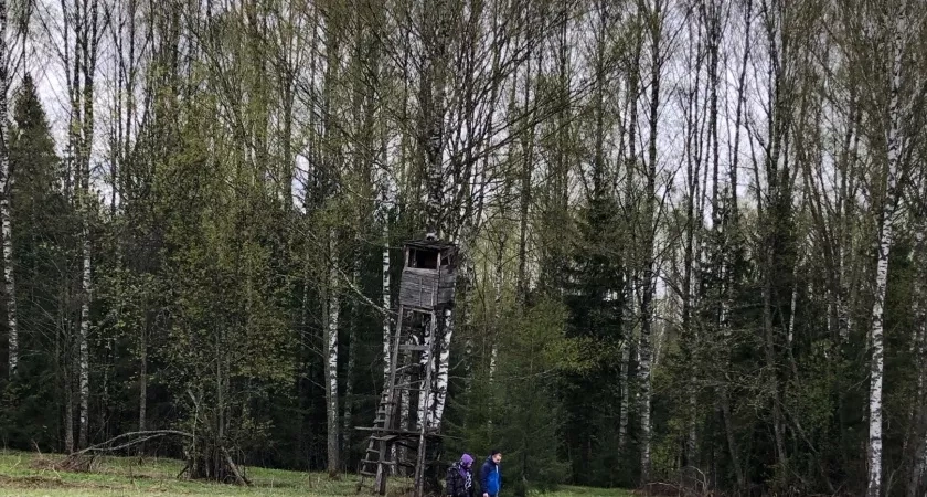 Кировская область отправила в Ирак 22 тысячи кубометров пиломатериалов хвои