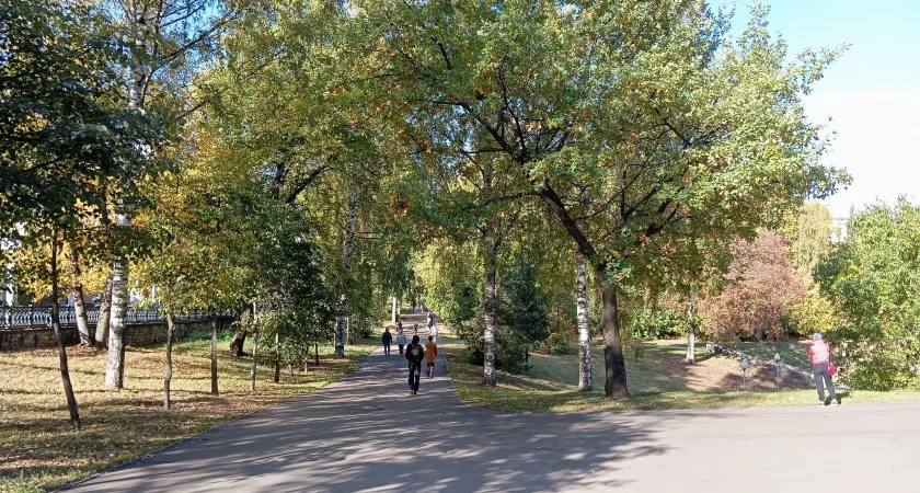 Стало известно, какая погода ждет чепчан 29 октября